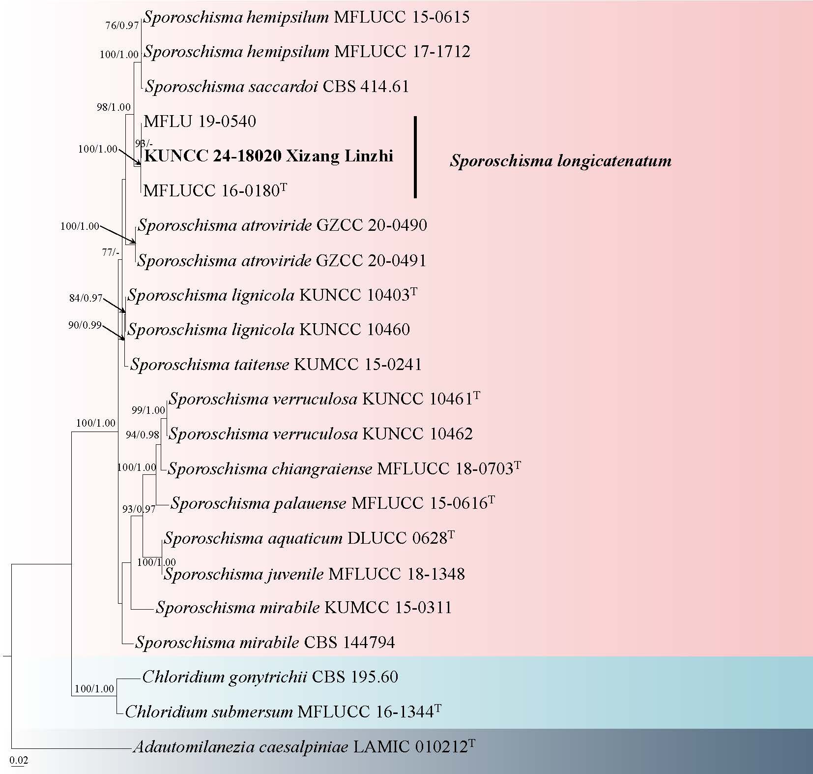 Figure 39